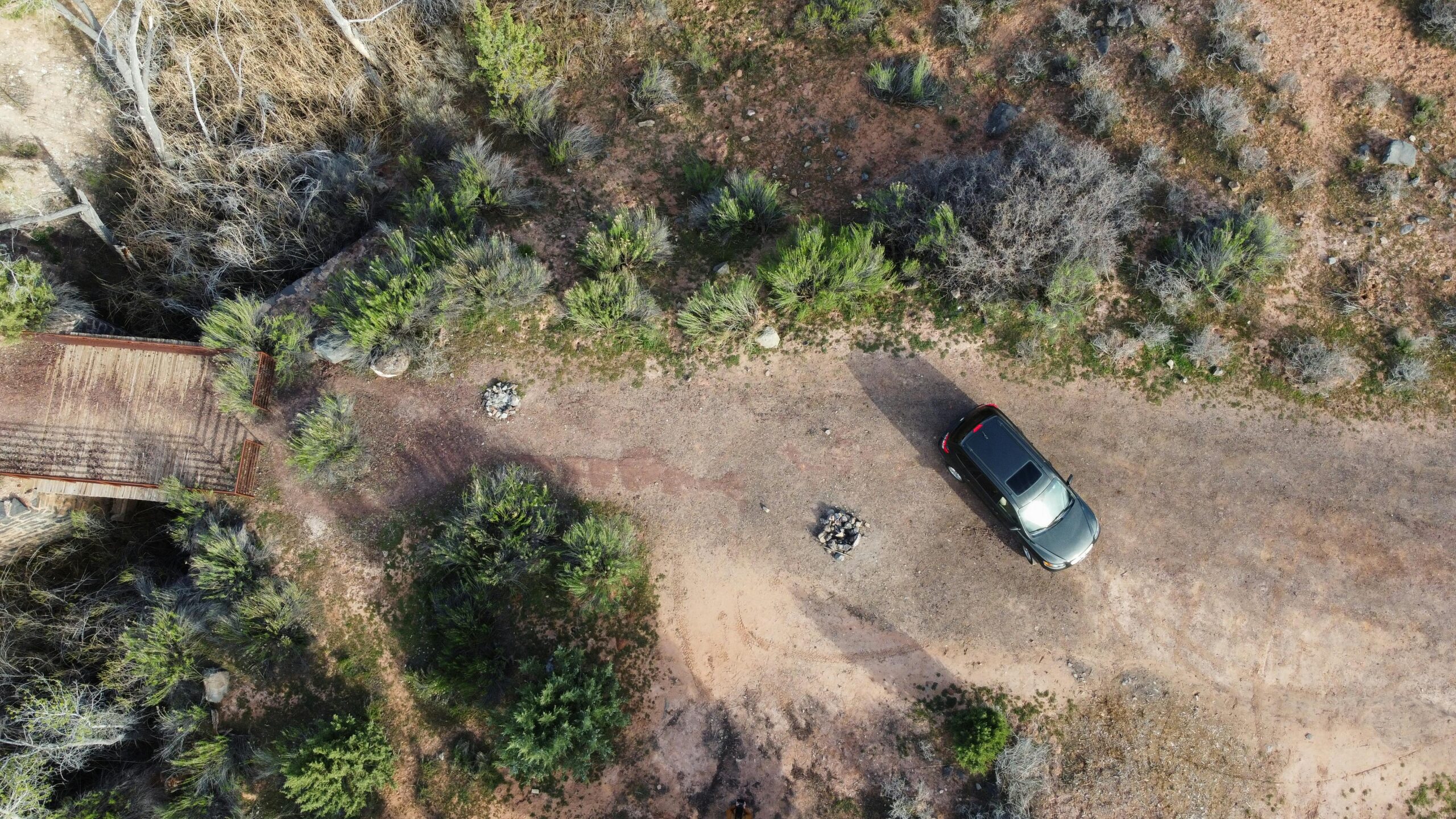 pexels alexmoliski 21286427 pexels alexmoliski 21286427