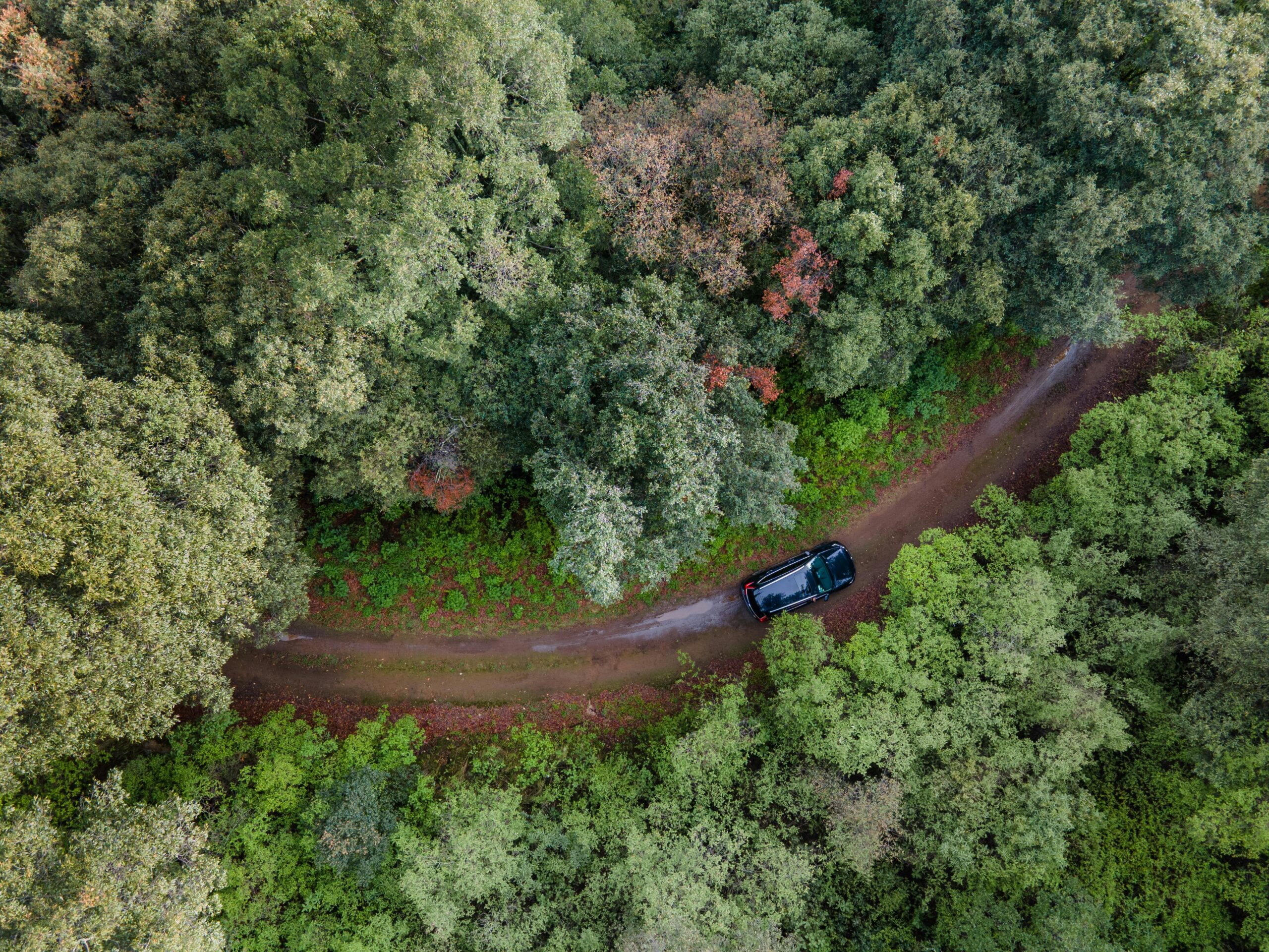 pexels amar 12983259 pexels amar 12983259