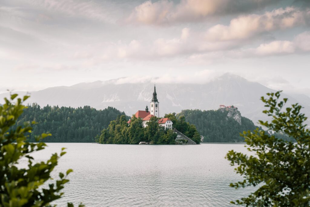 pexels marcell palmai 136439112 33278735 pexels marcell palmai 136439112 33278735